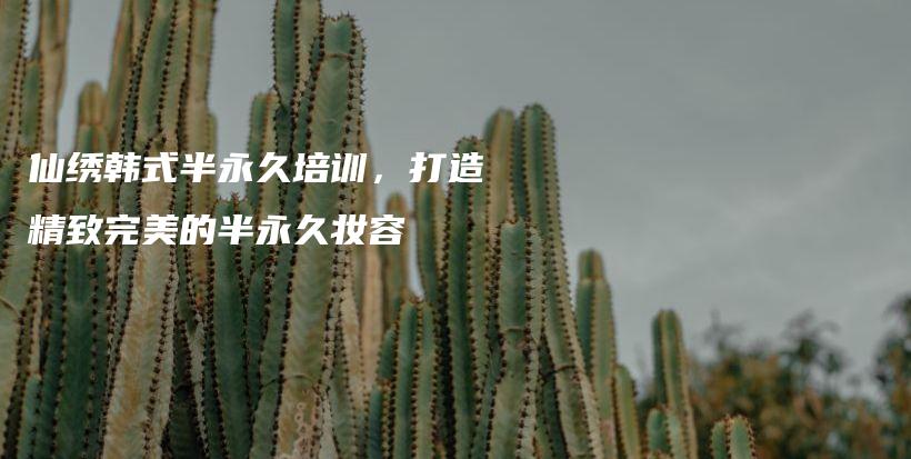 仙繡韓式半永久培訓(xùn)，打造精致完美的半永久妝容插圖
