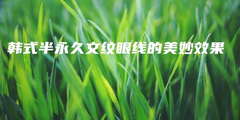韓式半永久文紋眼線的美妙效果插圖