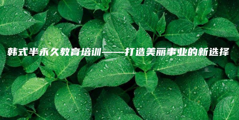 韓式半永久教育培訓(xùn)——打造美麗事業(yè)的新選擇插圖