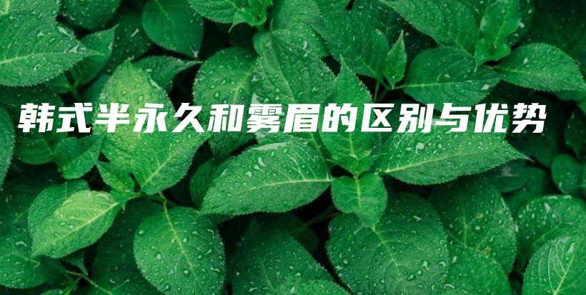 韓式半永久和霧眉的區(qū)別與優(yōu)勢插圖