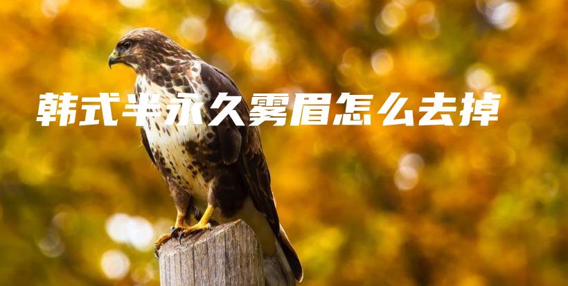 韓式半永久霧眉怎么去掉插圖