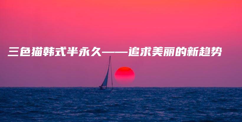 三色貓韓式半永久——追求美麗的新趨勢(shì)插圖