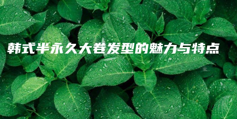 韓式半永久大卷發(fā)型的魅力與特點(diǎn)插圖