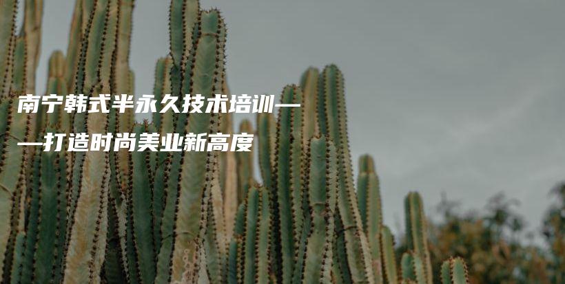 南寧韓式半永久技術(shù)培訓(xùn)——打造時(shí)尚美業(yè)新高度插圖
