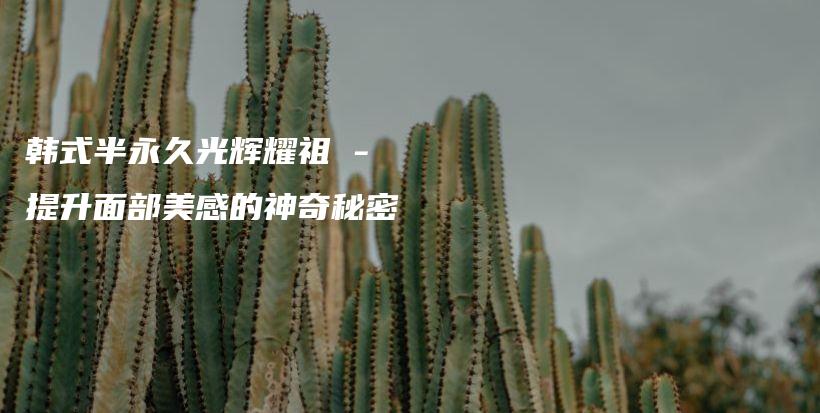 韓式半永久光輝耀祖 – 提升面部美感的神奇秘密插圖