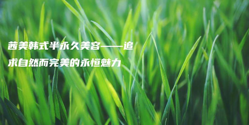 茜美韓式半永久美容——追求自然而完美的永恒魅力插圖