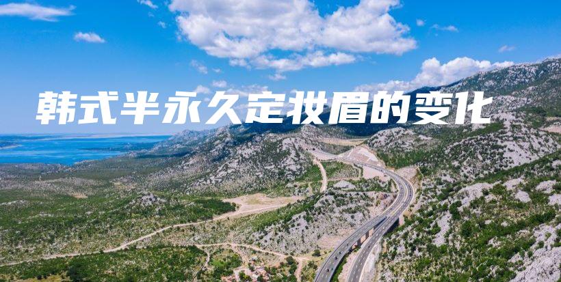 韓式半永久定妝眉的變化插圖