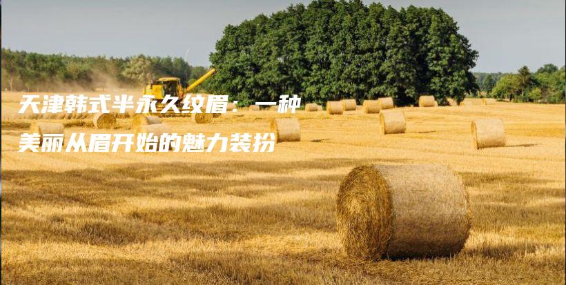 天津韓式半永久紋眉：一種美麗從眉開始的魅力裝扮插圖