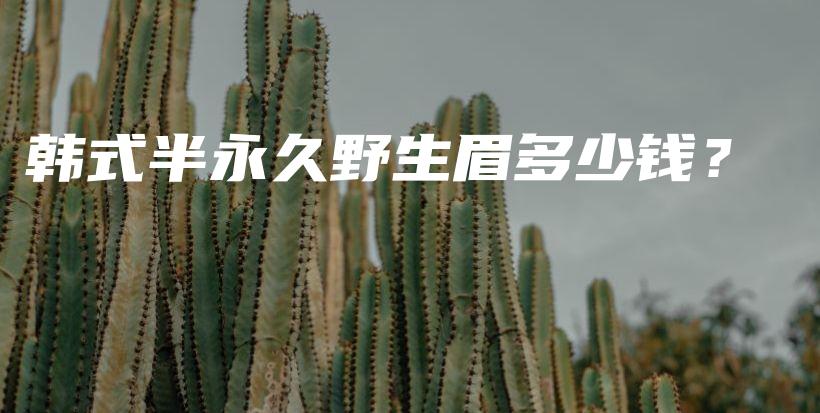 韓式半永久野生眉多少錢？插圖