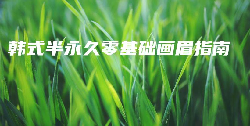 韓式半永久零基礎(chǔ)畫眉指南插圖
