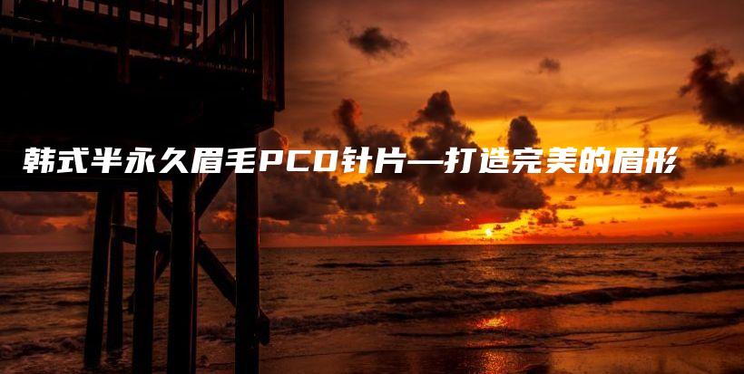 韓式半永久眉毛PCD針片—打造完美的眉形插圖