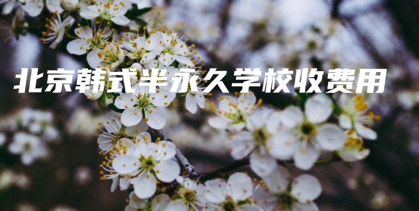 北京韓式半永久學(xué)校收費(fèi)用插圖