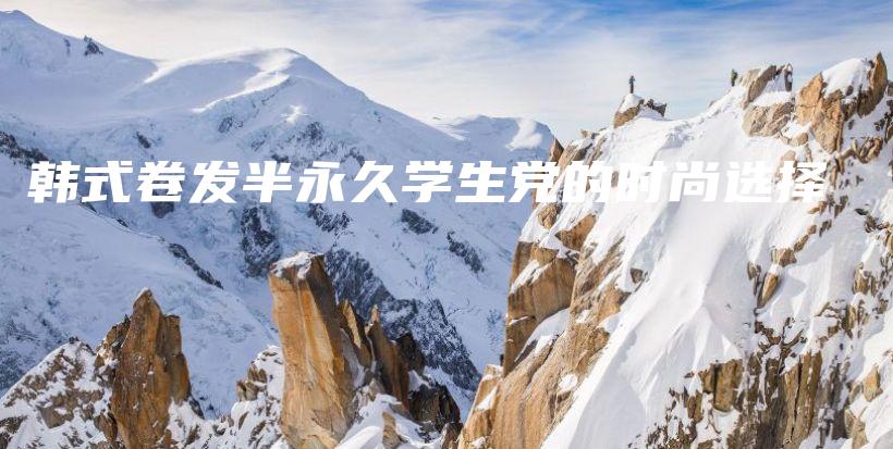 韓式卷發(fā)半永久學(xué)生黨的時(shí)尚選擇插圖