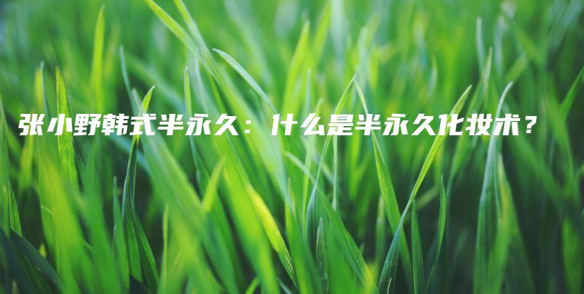 張小野韓式半永久：什么是半永久化妝術？插圖