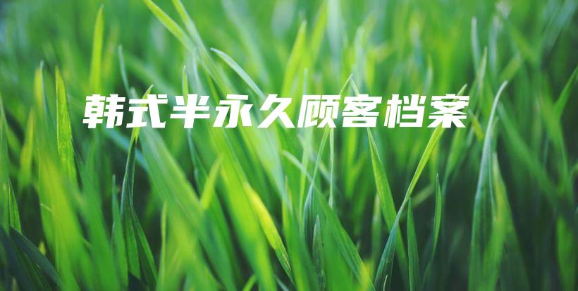 韓式半永久顧客檔案插圖