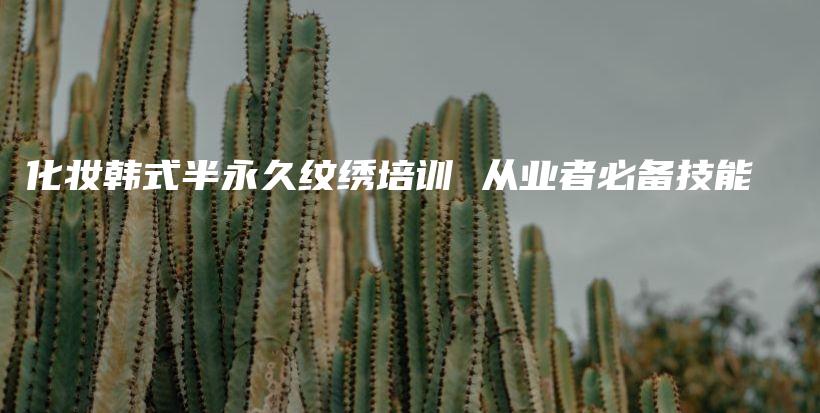化妝韓式半永久紋繡培訓(xùn) 從業(yè)者必備技能插圖
