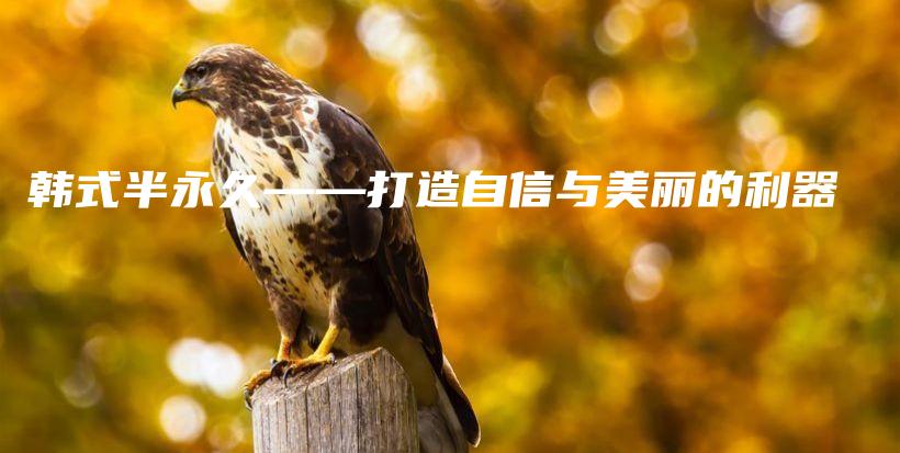 韓式半永久——打造自信與美麗的利器插圖