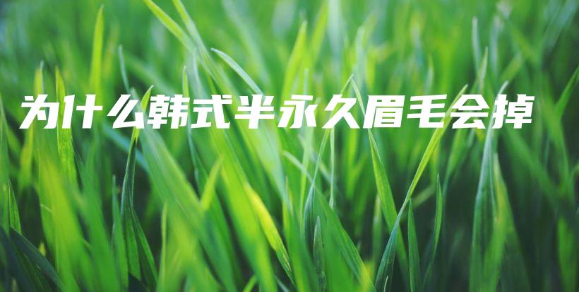 為什么韓式半永久眉毛會掉插圖