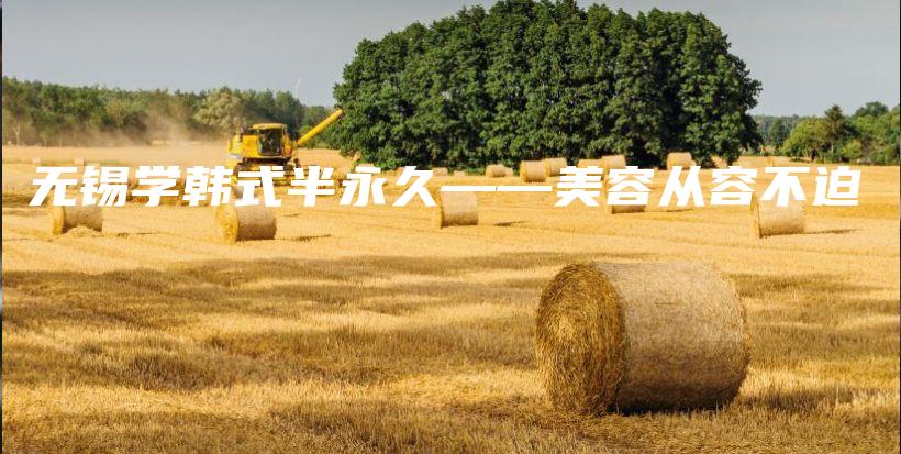 無錫學(xué)韓式半永久——美容從容不迫插圖