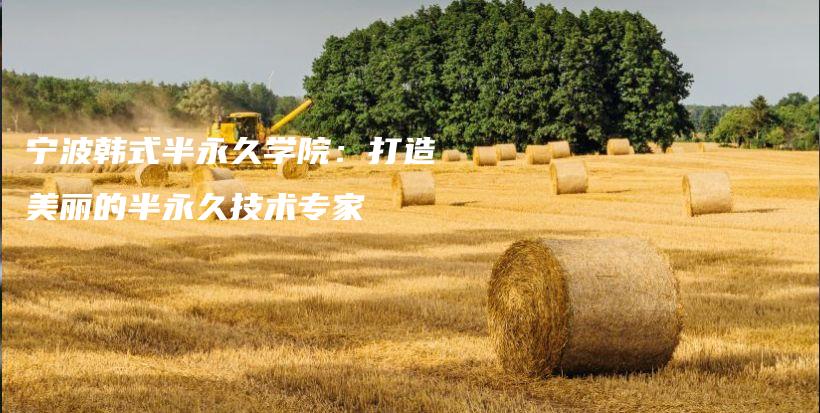 寧波韓式半永久學院：打造美麗的半永久技術專家插圖