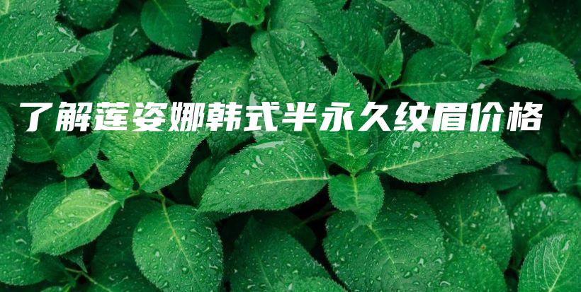 了解蓮姿娜韓式半永久紋眉價格插圖
