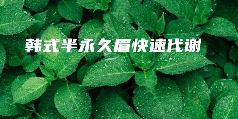 韓式半永久眉快速代謝插圖