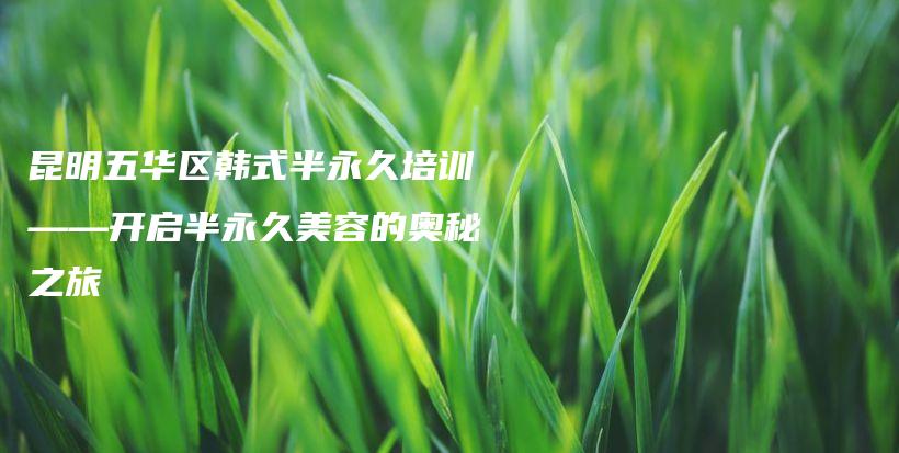 昆明五華區(qū)韓式半永久培訓(xùn)——開(kāi)啟半永久美容的奧秘之旅插圖