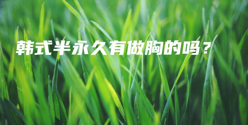 韓式半永久有做胸的嗎？插圖