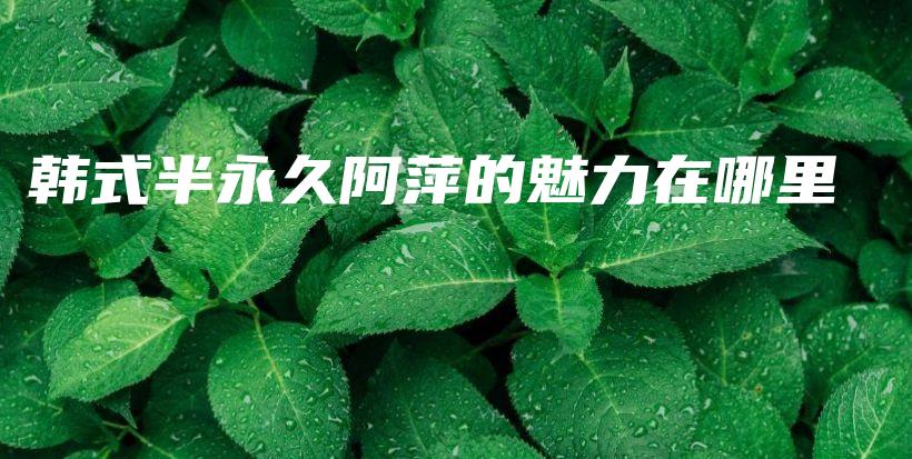 韓式半永久阿萍的魅力在哪里插圖