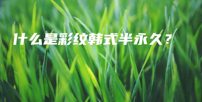 什么是彩紋韓式半永久？插圖