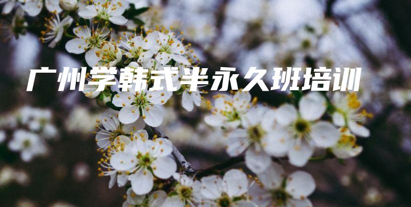 廣州學(xué)韓式半永久班培訓(xùn)插圖