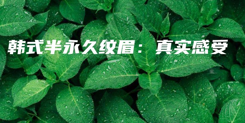 韓式半永久紋眉：真實感受插圖