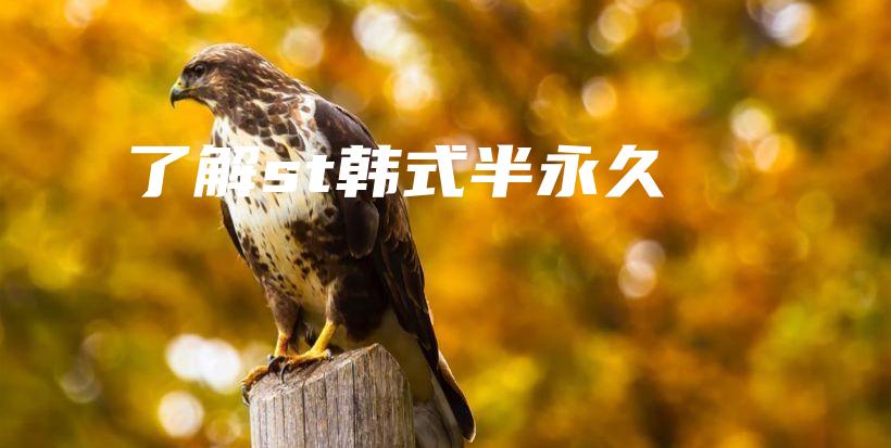 了解st韓式半永久插圖