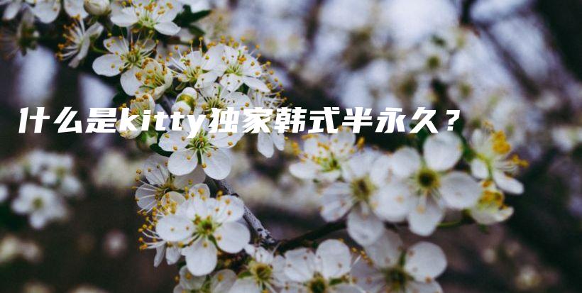 什么是kitty獨家韓式半永久？插圖