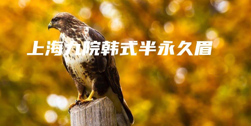 上海九院韓式半永久眉插圖