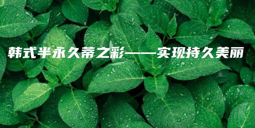 韓式半永久蒂之彩——實(shí)現(xiàn)持久美麗插圖