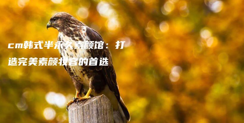 cm韓式半永久素顏館：打造完美素顏妝容的首選插圖