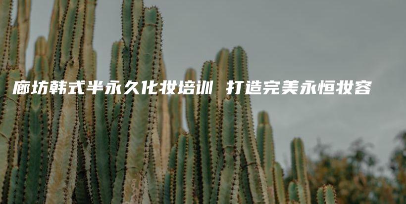 廊坊韓式半永久化妝培訓(xùn) 打造完美永恒妝容插圖