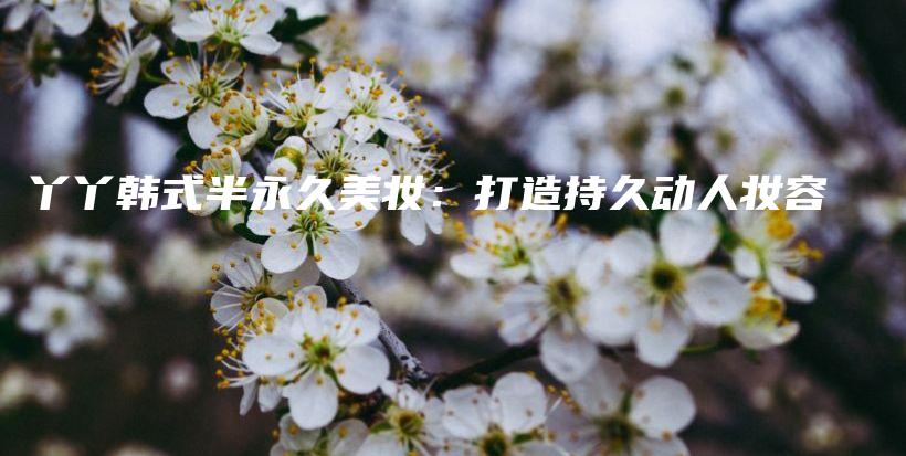 丫丫韓式半永久美妝：打造持久動(dòng)人妝容插圖