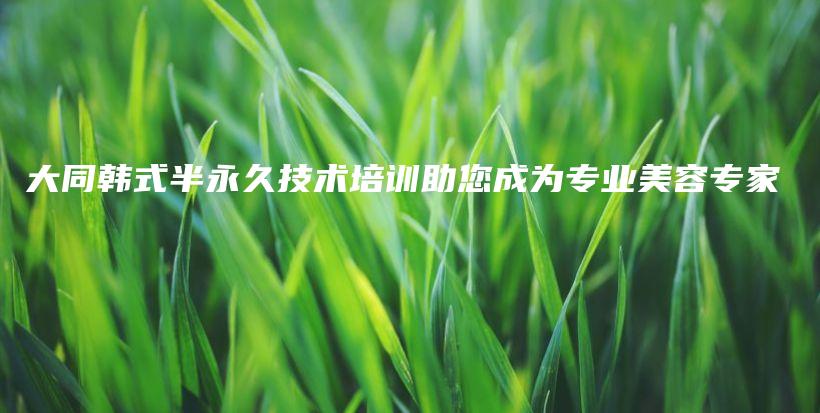 大同韓式半永久技術(shù)培訓助您成為專業(yè)美容專家插圖