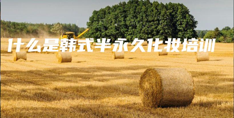 什么是韓式半永久化妝培訓(xùn)插圖