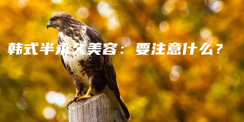 韓式半永久美容：要注意什么？插圖