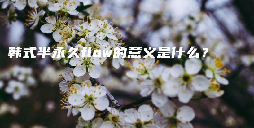 韓式半永久flow的意義是什么？插圖