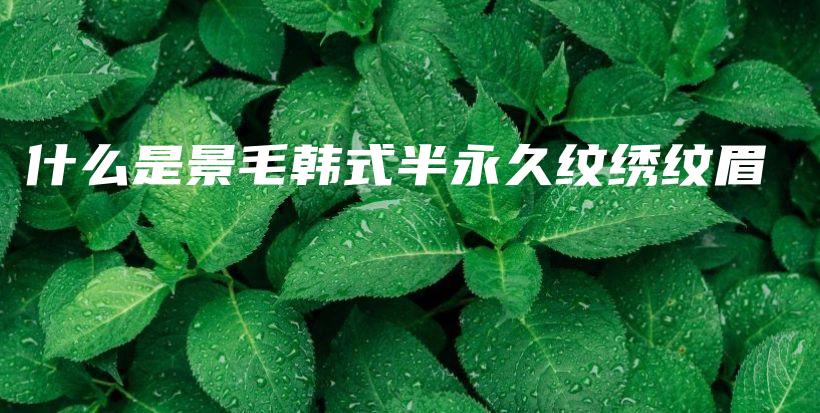 什么是景毛韓式半永久紋繡紋眉插圖
