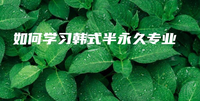 如何學(xué)習(xí)韓式半永久專(zhuān)業(yè)插圖