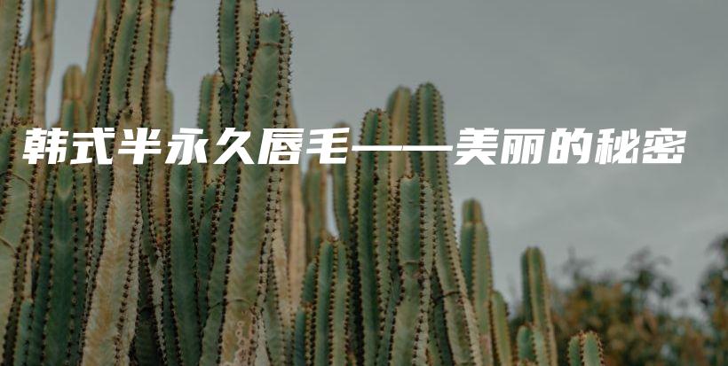 韓式半永久唇毛——美麗的秘密插圖