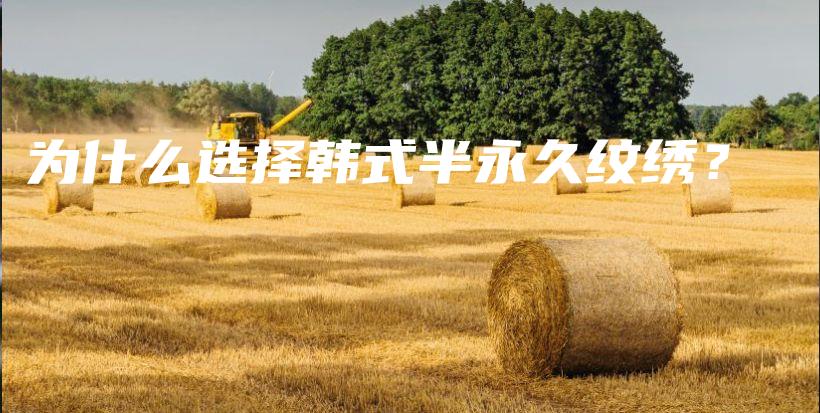 為什么選擇韓式半永久紋繡？插圖