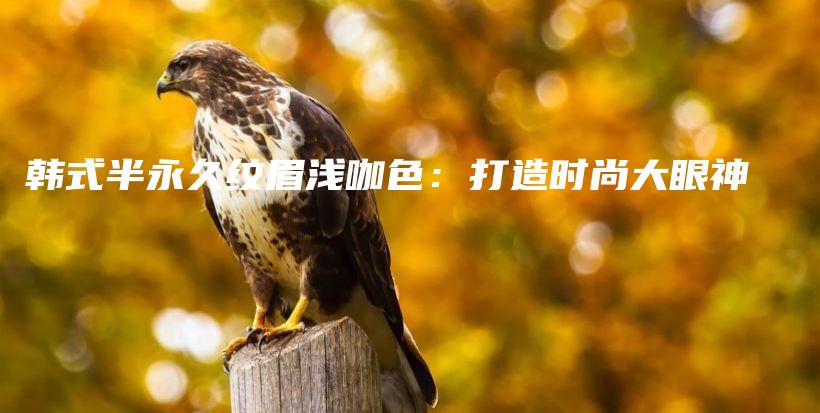 韓式半永久紋眉淺咖色：打造時尚大眼神插圖