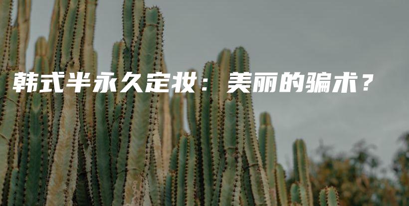 韓式半永久定妝：美麗的騙術(shù)？插圖