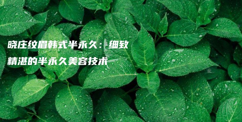 曉莊紋眉韓式半永久：細致精湛的半永久美容技術(shù)插圖